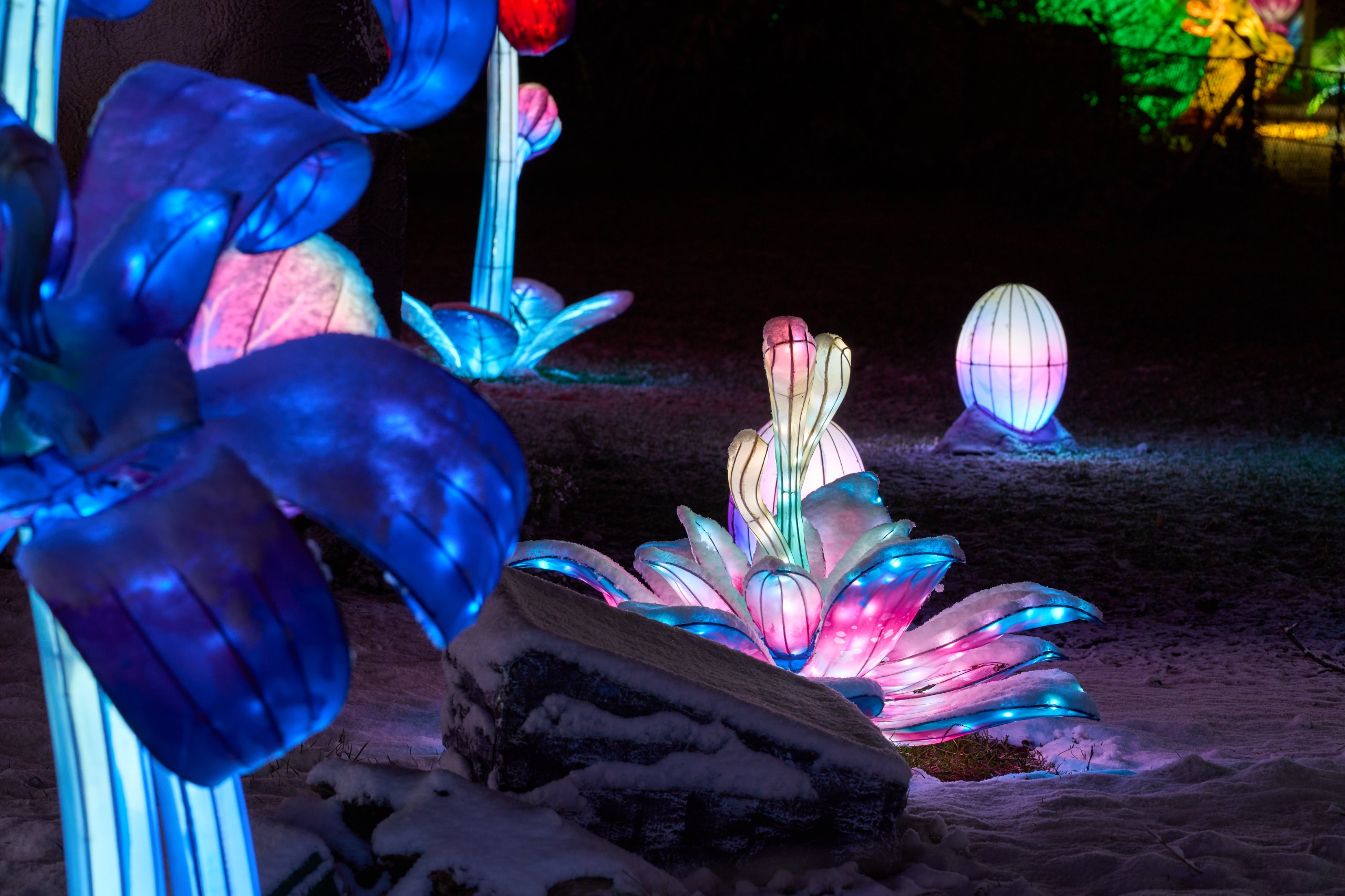 2026 01 05 China Lights 0071